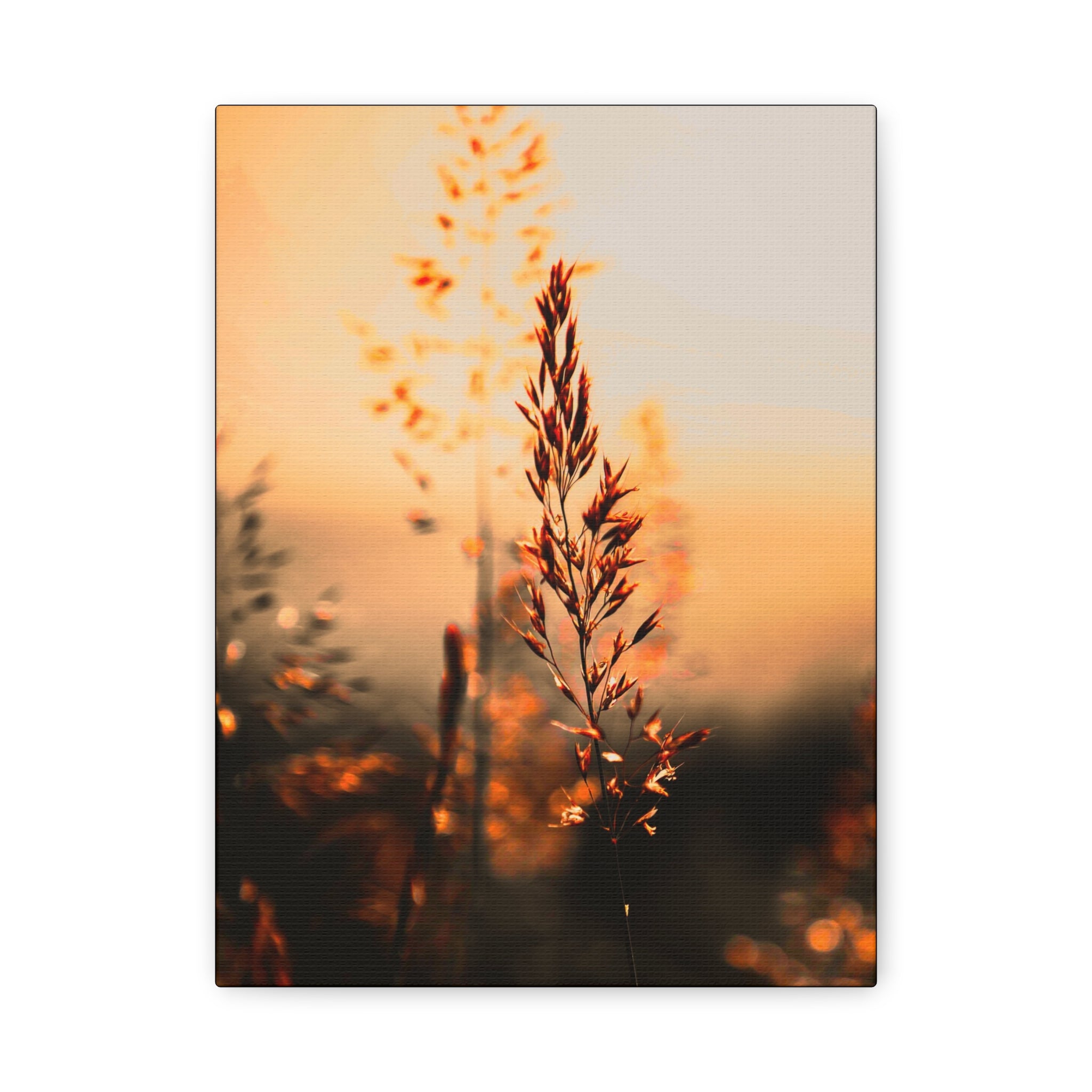 Morgenstund hat Gold im Mund