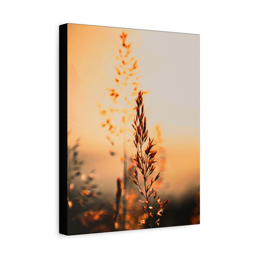 Morgenstund hat Gold im Mund