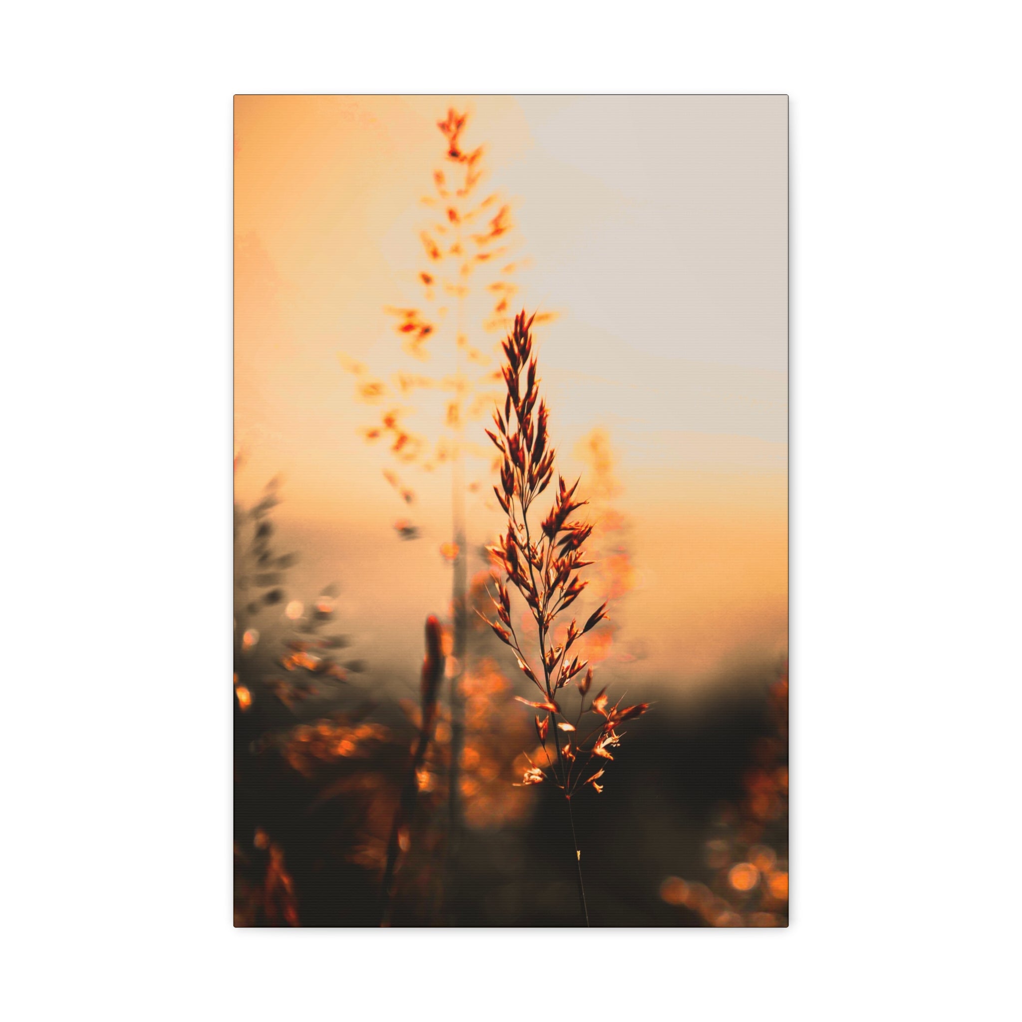 Morgenstund hat Gold im Mund