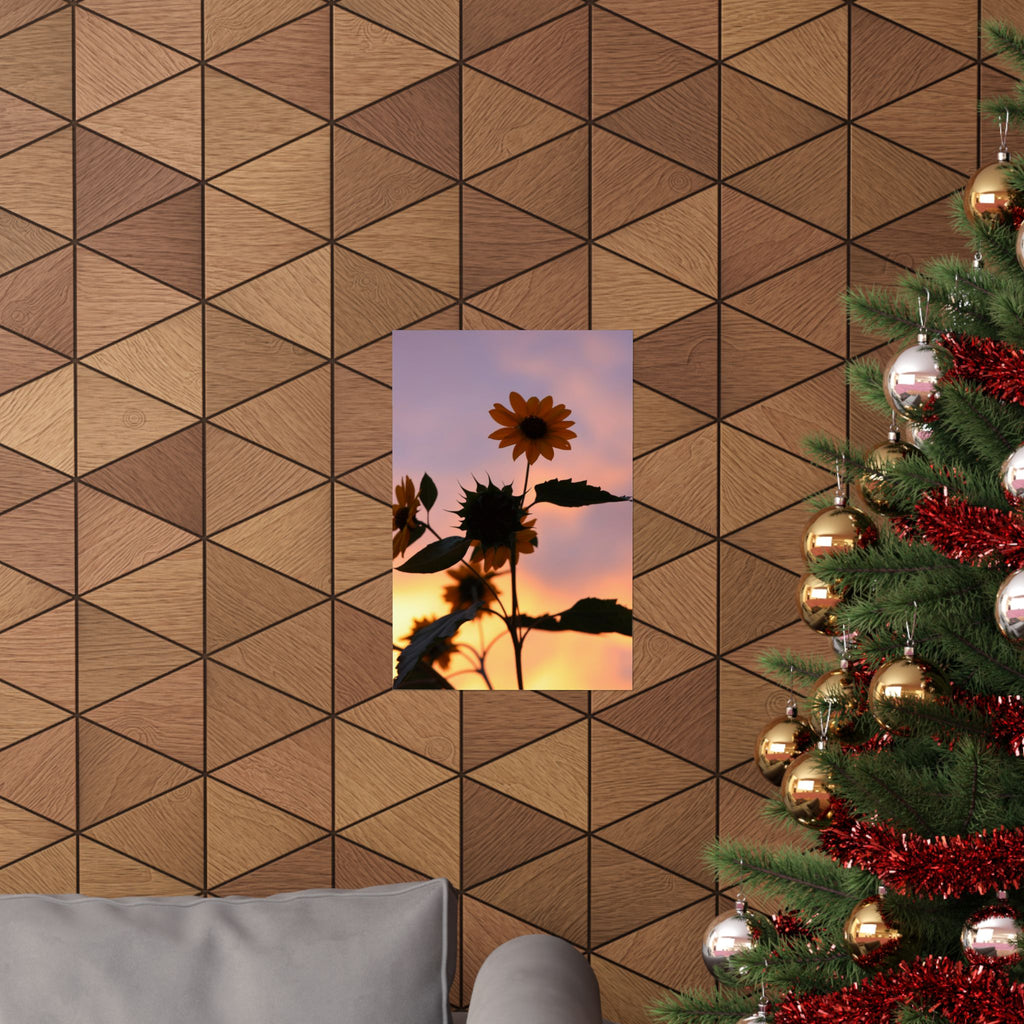 Sonnenblumen im Sonnenuntergang