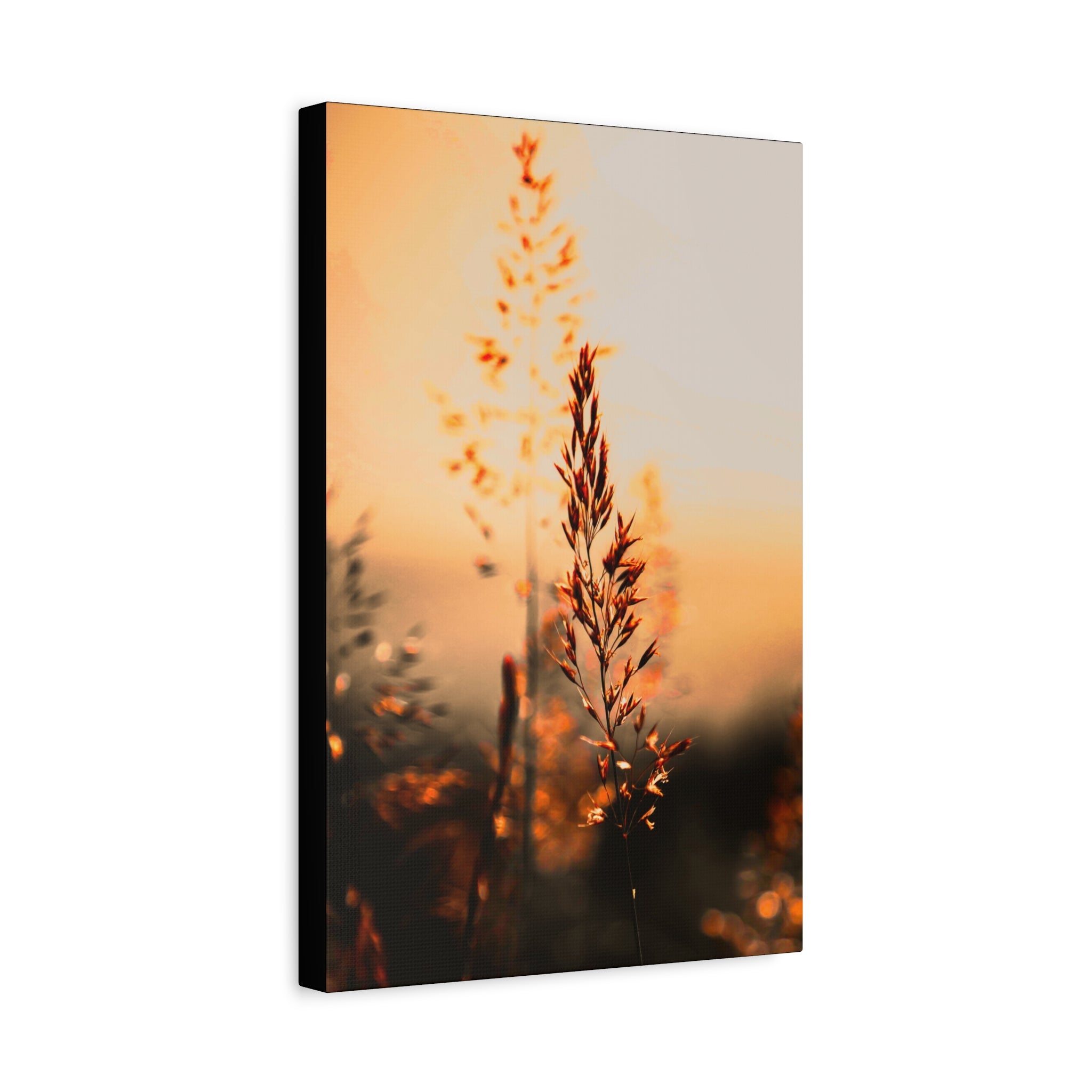 Morgenstund hat Gold im Mund