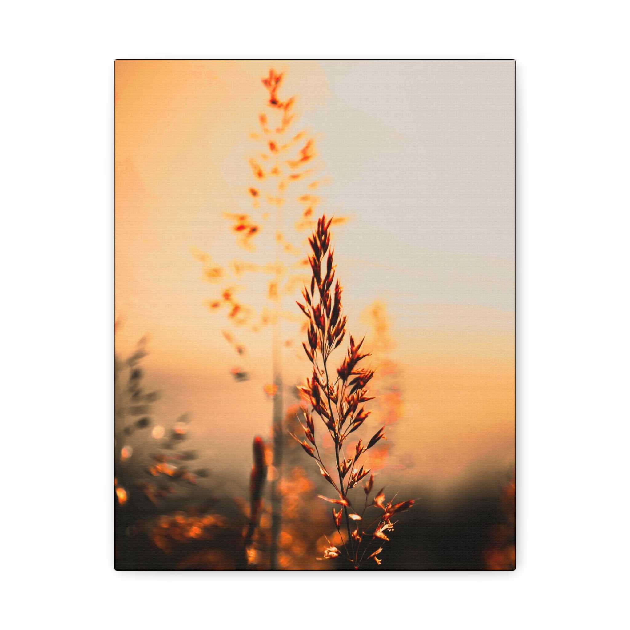 Morgenstund hat Gold im Mund