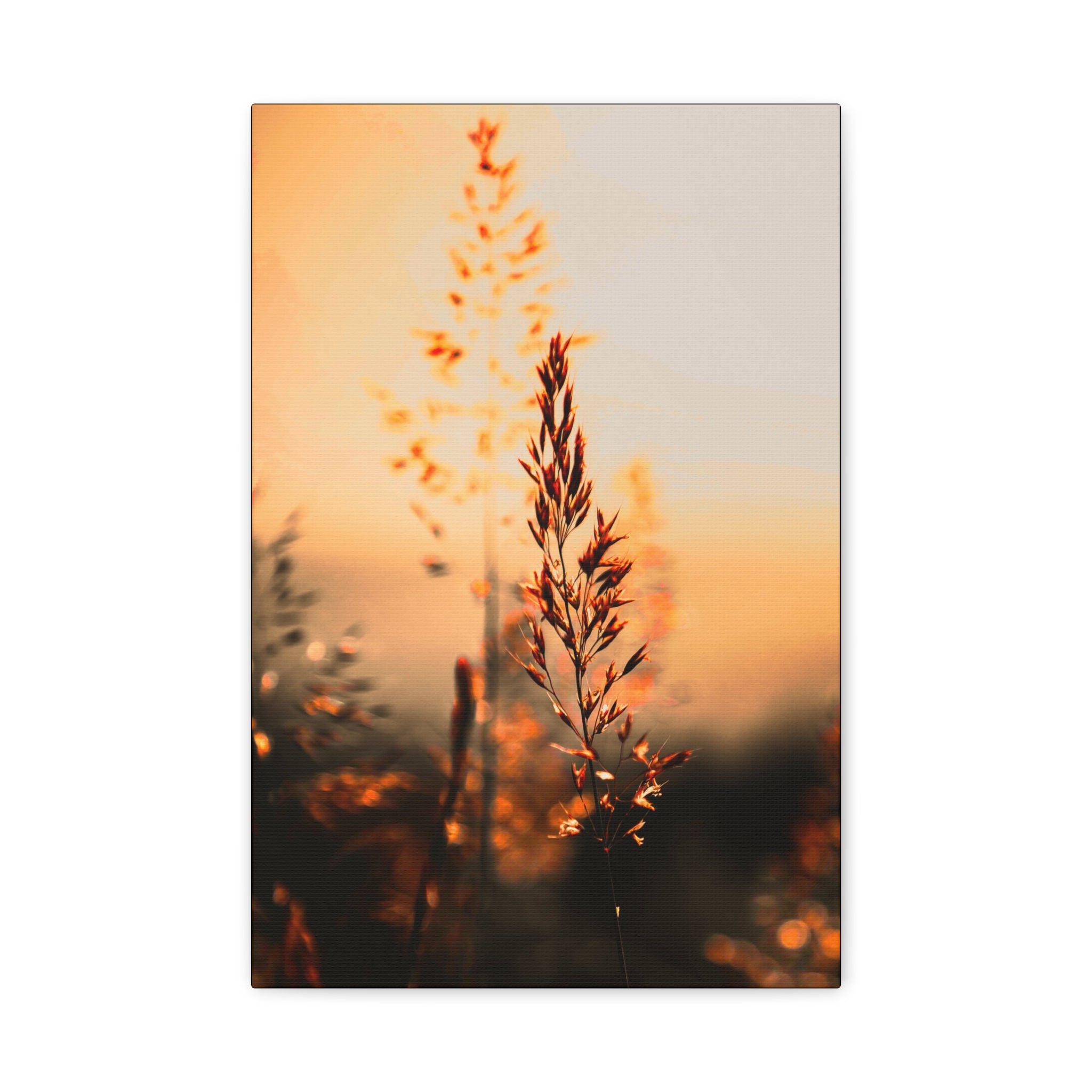 Morgenstund hat Gold im Mund